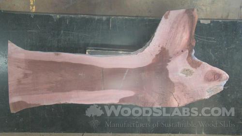 Eucalyptus Wood Slab #CBU-1DB-ZIJI