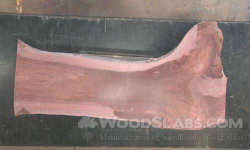 Eucalyptus Wood Slab #9AE-E7U-B1E7