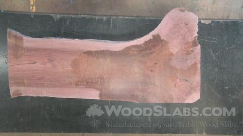 Eucalyptus Wood Slab #DUS-3XK-U9KE