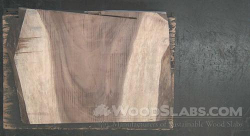 Parota Wood Slab #JC2-UNN-UZGJ