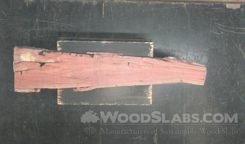 Eucalyptus Wood Slab #HOQ-SPD-B15Q