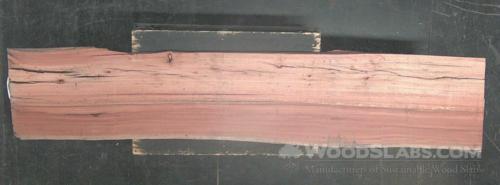Eucalyptus Wood Slab #NCX-Z9R-R0PQ