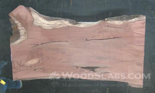 Eucalyptus Wood Slab #UMR-OQ3-3BA7