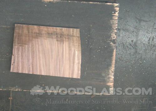 Parota Wood Slab #Q3E-U5F-4Y0T