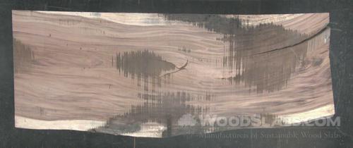 Monkey Pod Wood Slab #AYW-M9K-I50U