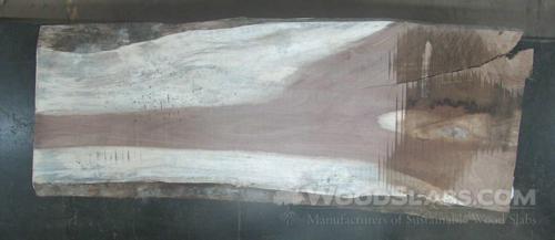 Monkey Pod Wood Slab #APJ-S6V-V7YB