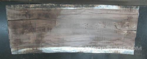 Parota Wood Slab #EKJ-L83-TWDQ