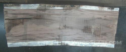 Parota Wood Slab #42W-WV7-OOXP