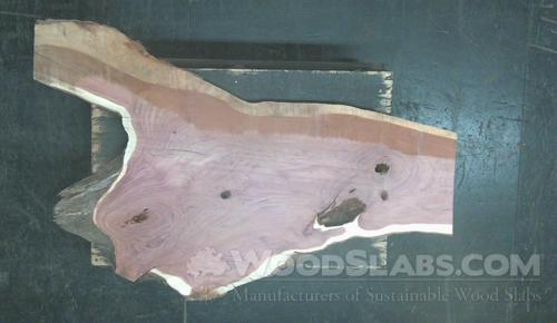 Aromatic Cedar Wood Slab #UPM-8PI-1HTL