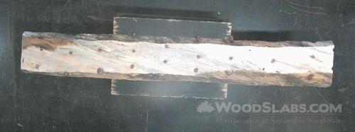 Norfolk Island Pine Wood Slab #LCR-203-CS03