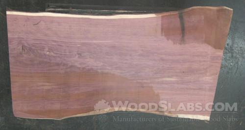 Aromatic Cedar Wood Slab #C7Y-XSA-Z8FM