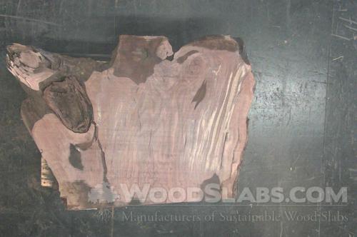 Claro Walnut Wood Slab #20X-OJY-WOQK