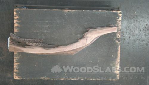 Claro Walnut Wood Slab #DDA-4G5-S4NY