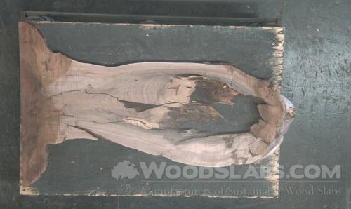 Claro Walnut Wood Slab #HX6-P6V-8R21