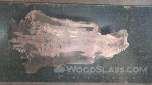 Claro Walnut Wood Slab #WKQ-KFB-MVNX
