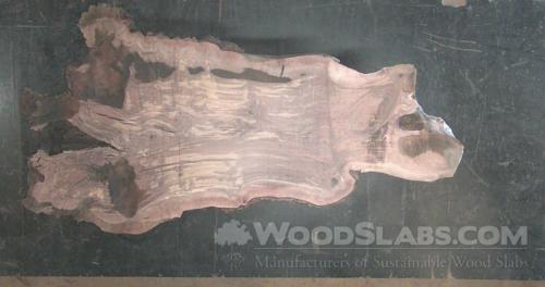 Claro Walnut Wood Slab #1ZA-DQB-ZKF6