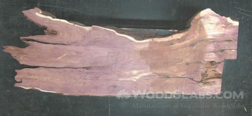 Aromatic Cedar Wood Slab #M6D-4NL-V7CW