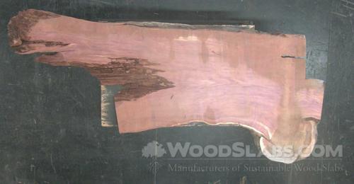 Aromatic Cedar Wood Slab #0BM-CFP-N57E