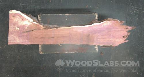 Aromatic Cedar Wood Slab #4C2-MVE-JAXV