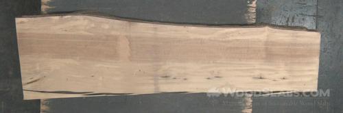 white ash Wood Slab #5FU-AOW-3Y05