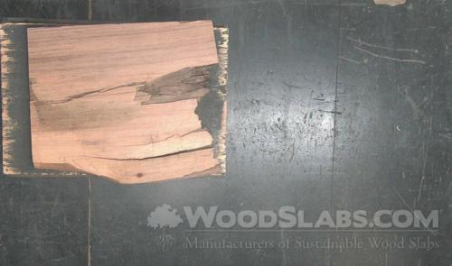 Parota Wood Slab #WZR-RGH-K3AM