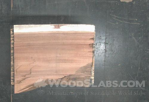 Parota Wood Slab #76M-3OM-GTD5