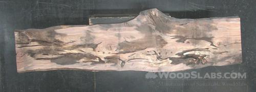 Sycamore Wood Slab #98A-2AJ-2GEL