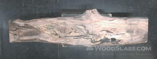 Sycamore Wood Slab #503-YFI-7EWZ