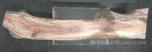 Sycamore Wood Slab #DDN-GDE-0BUW