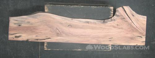 Sycamore Wood Slab #6H1-G82-SRRY