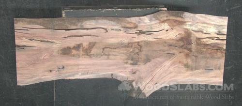 Sycamore Wood Slab #PS7-TZS-51NC