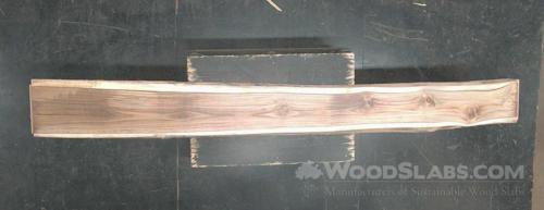 Latin Teak Wood Slab #VX2-MGW-L6BY