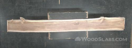 Latin Teak Wood Slab #8CN-MPA-SYX4