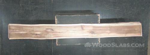 Latin Teak Wood Slab #NE1-0FO-CCK5
