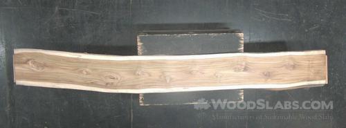 Latin Teak Wood Slab #QOU-219-8GU0