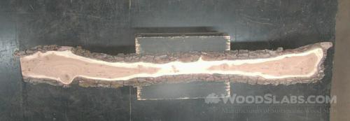 English Elm Wood Slab #DE4-PFM-ALIS