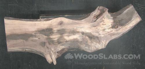 Pecan Wood Slab #03S-L6D-ZZM2