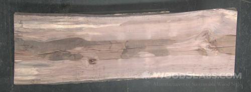 Pecan Wood Slab #JSA-JMQ-E0BZ
