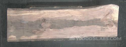 Pecan Wood Slab #SYR-VPQ-LQUI