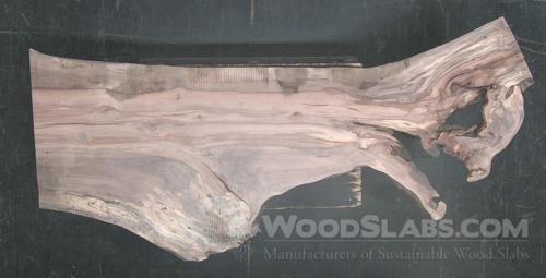 Pecan Wood Slab #3YZ-1BJ-9Y5A