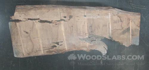 Live Oak Wood Slab #3HC-PO8-EEIU