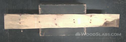 Norfolk Island Pine Wood Slab #0S6-L5J-IEDK