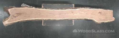 English elm Wood Slab #X9X-BT1-LNWK