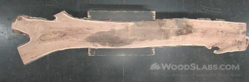 English elm Wood Slab #OIN-L01-8FYS