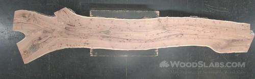English elm Wood Slab #BZQ-QGQ-ACQV