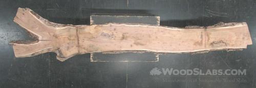 English el Wood Slab #K19-HUC-31DH