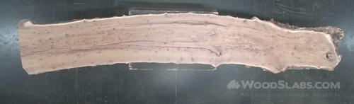 English elm Wood Slab #DYK-4TU-1K70