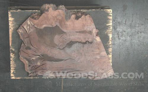 Claro Walnut Wood Slab #R2N-S5Z-RBPA