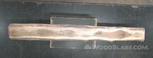 Latin Teak Wood Slab #9H1-2MQ-VRLU