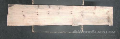 Norfolk Island Pine Wood Slab #SX2-5RY-QAYS